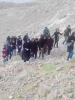 کوه گشت یک روزه تفریحی، باشعار ورزش سلامتی 9