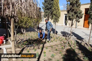 کاشت نهال درروز درختکاری با حضور ریاست و،معاونین ودانشجویان باشعار هردانشجو یک درخت 2