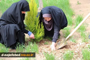 کاشت نهال درروز درختکاری با حضور ریاست و،معاونین ودانشجویان باشعار هردانشجو یک درخت 4