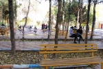 پخت و توزیع آش رشته به مناسبت 16 آذر ماه روز دانشجودر  دانشکده فنی وحرفه ای دختران نجف آباد 6