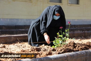 همزمان با هفتة درختکاری در آموزشکده فنی و حرفه ای دختران نجف آباد برگزار گردید 5
