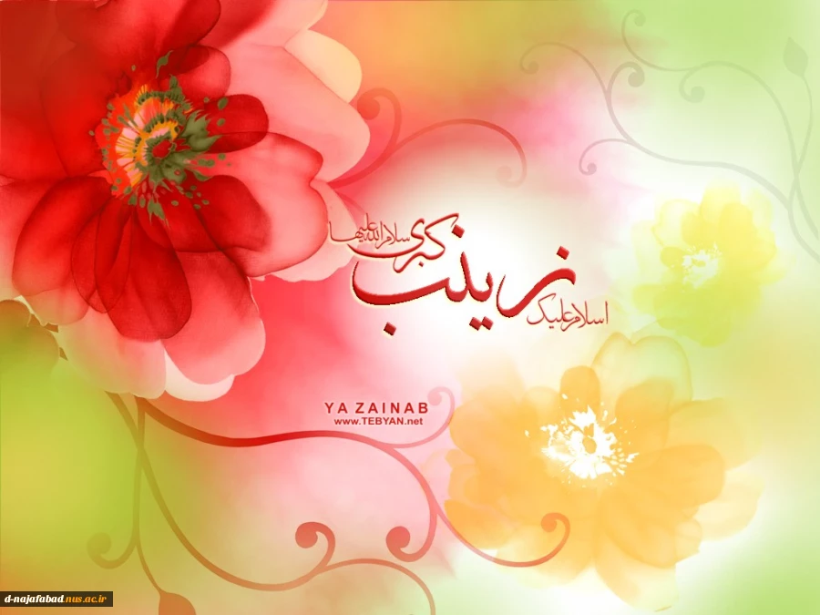 تبریک میلاد حضرت زینب کبری(س) و روز پرستار