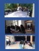 گزارش تصویری ورودیهای جدید 3