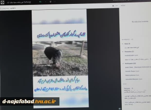 آیین اختتامیه جشنواره مسابقات پاک ورزی در آموزشکده فنی وحرفه ای دختران نجف آباد برگزار شد 8