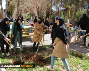 آیین روز درختکاری و کاشت نهال درمحوطه آموزشکده دختران نجف آباد  برگزار شد 5