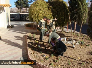 آیین روز درختکاری و کاشت نهال درمحوطه آموزشکده دختران نجف آباد  برگزار شد 12