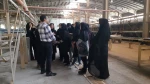 بازدید دانشجویان آموزشکده دختران نجف آباد در قالب اردوی راهیان پیشرفت از کارخانه کاش آسیا  2