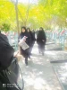 بمناسبت هفته دفاع مقدس مراسم غبار روبی و عطر افشانی مزارشهید محسن حججی و شهدای دفاع مقدس برگزار شد  5