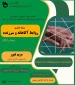 وبینار کشوری روابط آگاهانه و سرزنده