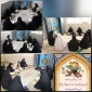 محفل انس با قرآن  در نمازخانه آموزشکده دختران نجف آباد برگزار شد