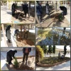 آیین روز درختکاری و کاشت نهال درمحوطه آموزشکده دختران نجف آباد  برگزار شد 2
