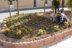 آیین روز درختکاری و کاشت نهال درمحوطه آموزشکده دختران نجف آباد  برگزار شد 4
