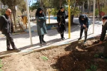 آیین روز درختکاری و کاشت نهال درمحوطه آموزشکده دختران نجف آباد  برگزار شد 7