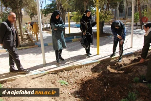 آیین روز درختکاری و کاشت نهال درمحوطه آموزشکده دختران نجف آباد  برگزار شد 7