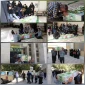 آیین استقبال از شهید مهدی سلطانی درآموزشکده ملی مهارت دختران نجف آباد