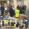 کاشت_درخت_مقاومت_ایستادگی_همدردی  2