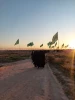 اردوی راهیان نور دانشجویان آموزشکده ملی مهارت دختران نجف آباد به مناطق جنوب  3