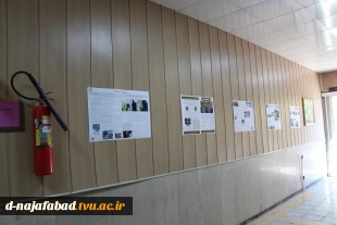 برپایی نمایشگاه عکس دانشجویان آموزشکده ملی مهارت دختران نجف‌آباد 6
