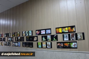 برپایی نمایشگاه عکس دانشجویان آموزشکده ملی مهارت دختران نجف‌آباد 8