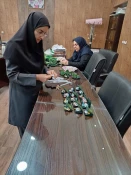 بمناسبت فرارسیدن ولادت حضرت معصومه (س) و گرامیداشت روز دختر، مراسم ویژه‌ای در آموزشکده ملی مهارت دختران نجف‌آباد برگزار گردید 6